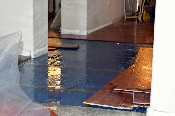 Professional Water Extraction technician working in Lindsay, TX